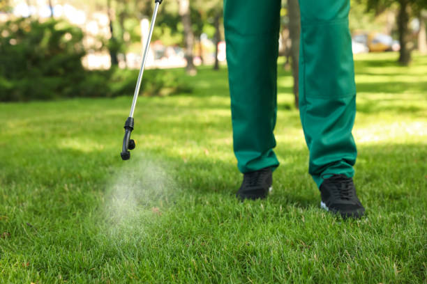 Best Mosquito Control Services  in Briar Chapel, NC