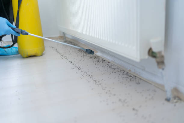 Best Emergency Pest Control  in Briar Chapel, NC