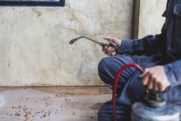Best Pest Prevention Services  in Briar Chapel, NC